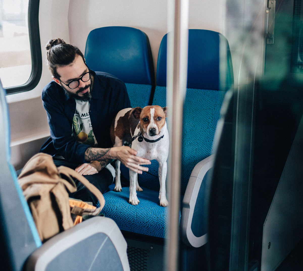 An Ultimate Guide to Travel with Pets on Train 